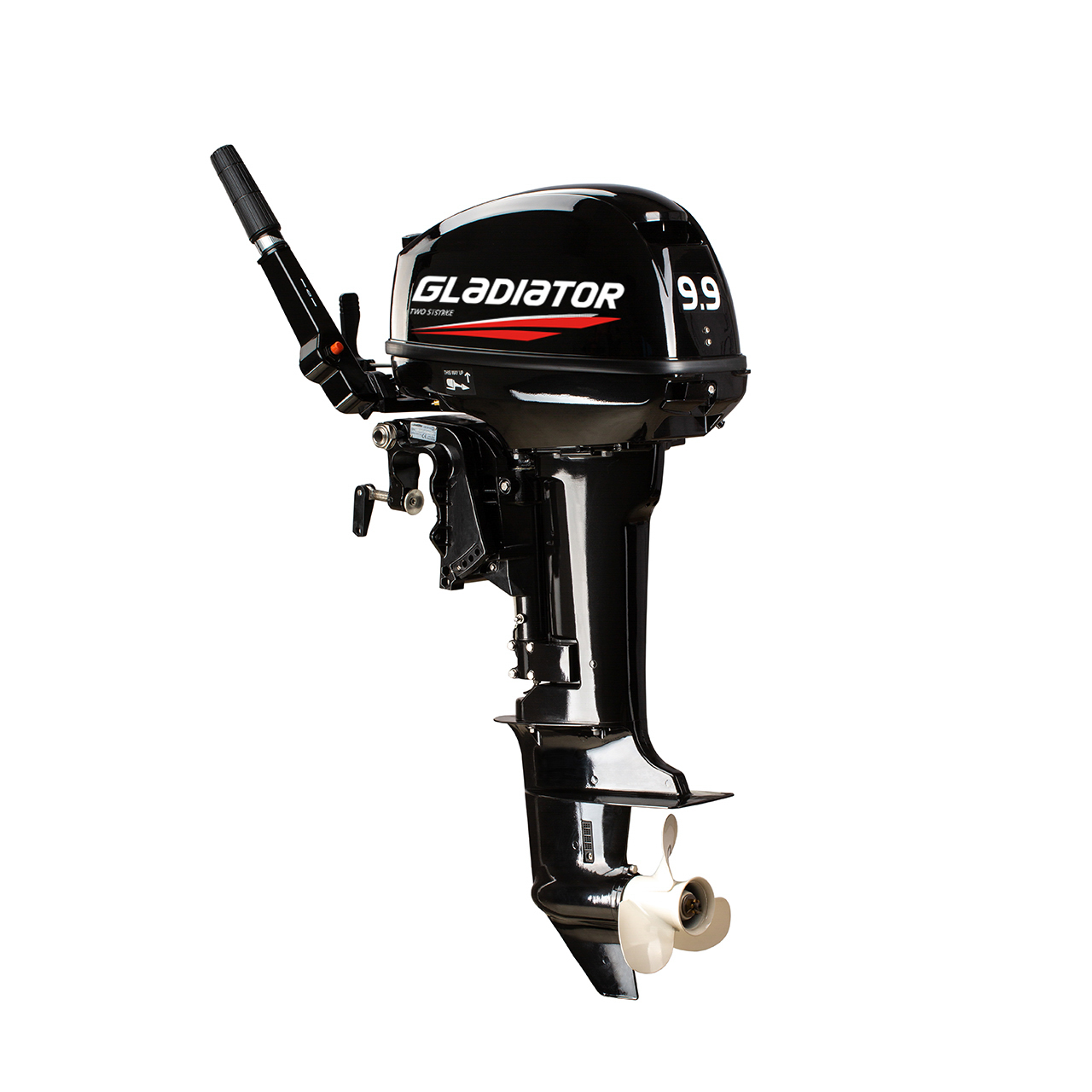 ЛОДОЧНЫЙ МОТОР GLADIATOR G9.9FHS в Анапе