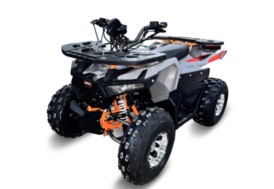 Квадроцикл GBM DAXTER 220 NEW PREMIUM в Анапе