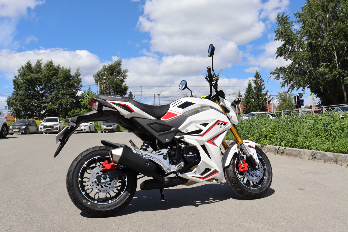 Мотоцикл PROMAX STRYKER 200(49) 2.0 в Анапе