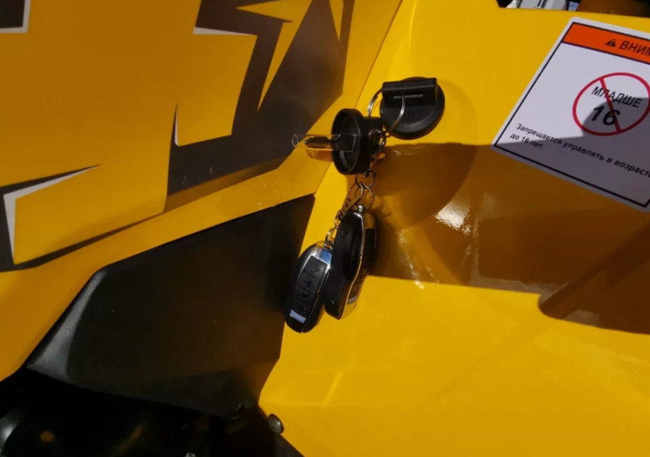 Квадроцикл MOTOLAND (МОТОЛЕНД) VOX200 WILD TRACK X PRO (баланс. вал) в Анапе