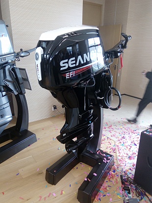 Лодочный мотор SEANOVO SN75FHL-D в Анапе