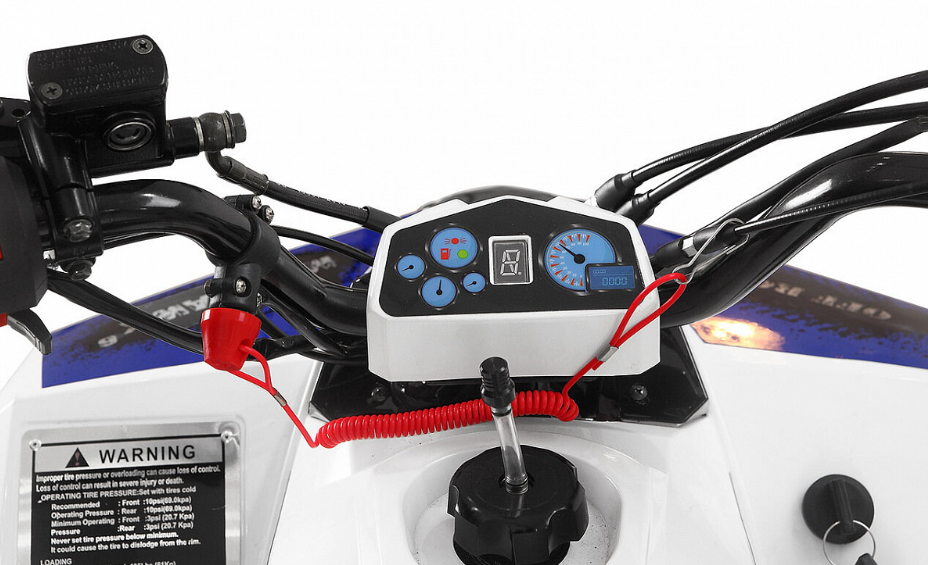 Квадроцикл Yacota Raposa 110 в Анапе