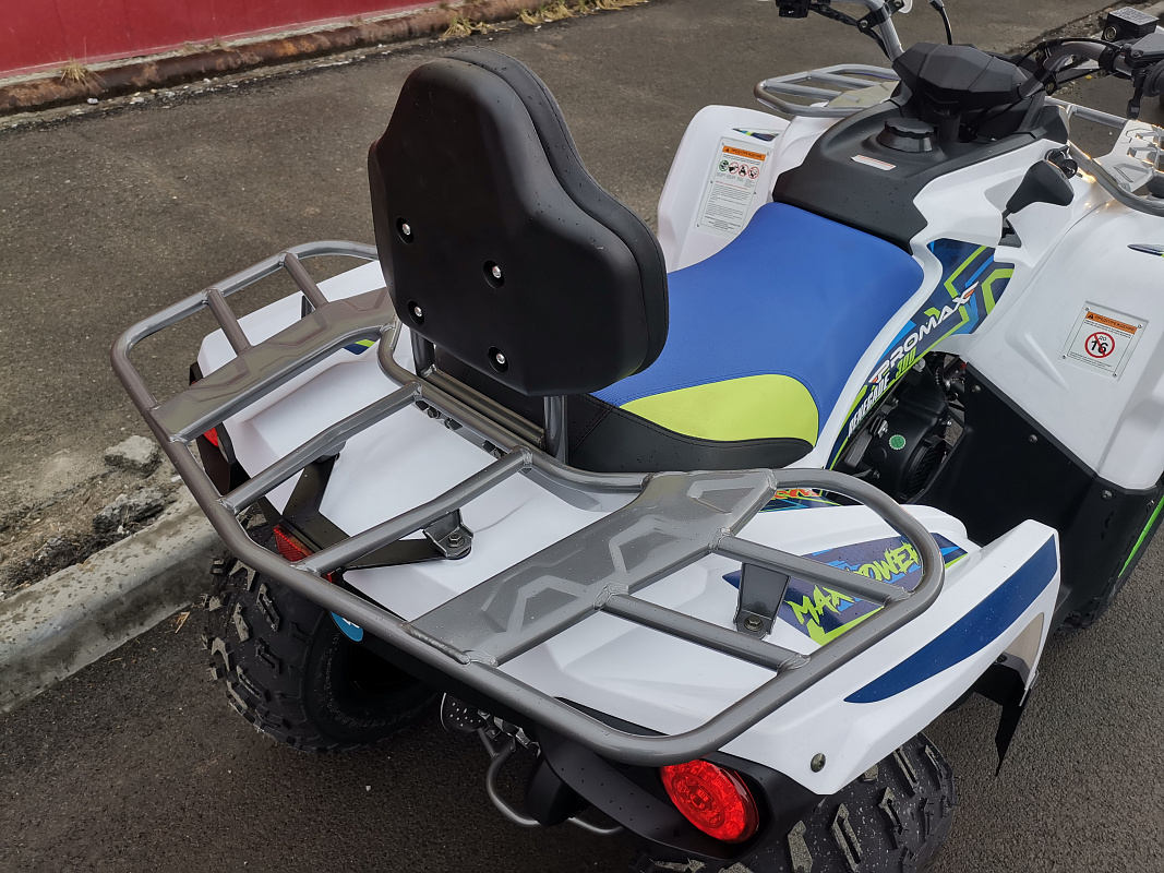 Квадроцикл PROMAX RENEGADE 280 LUX (2025) в Анапе