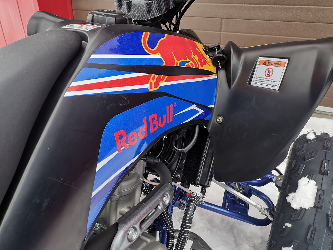 Квадроцикл PROMAX RAPTOR 300 NEW RedBull в Анапе