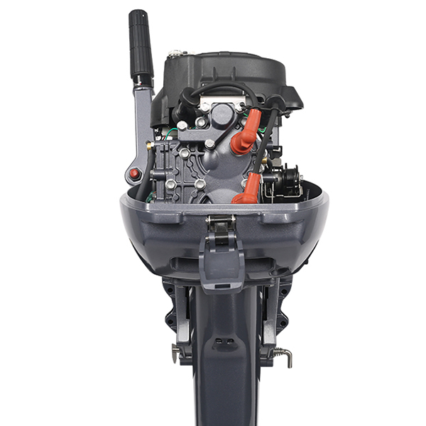 ЛОДОЧНЫЙ МОТОР ALLFA CG Т9,9 Limit в Анапе