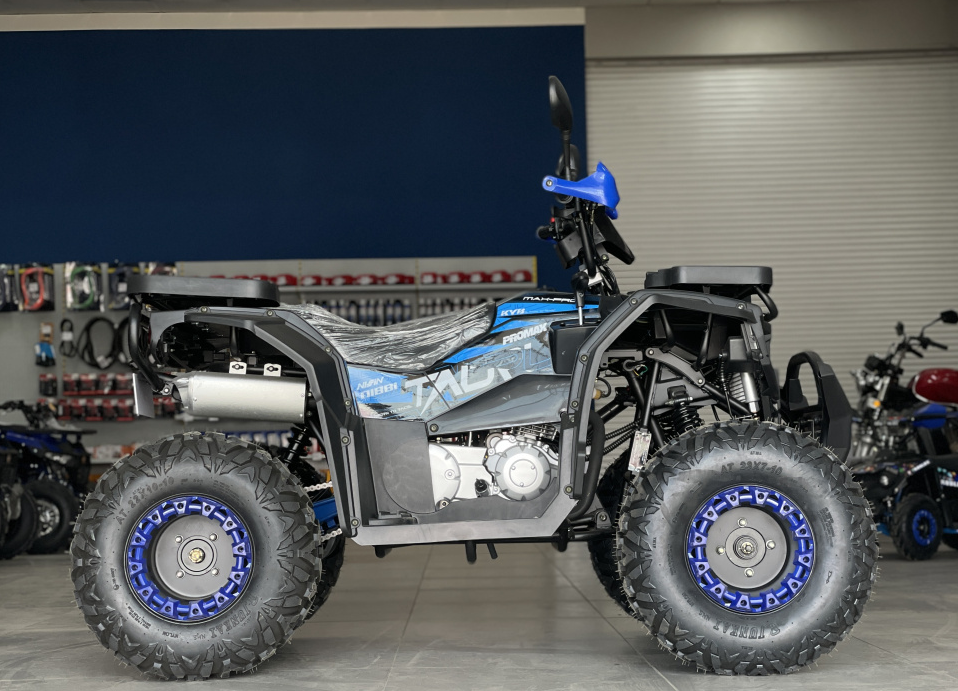Квадроцикл PROMAX TAURUS 300 в Анапе