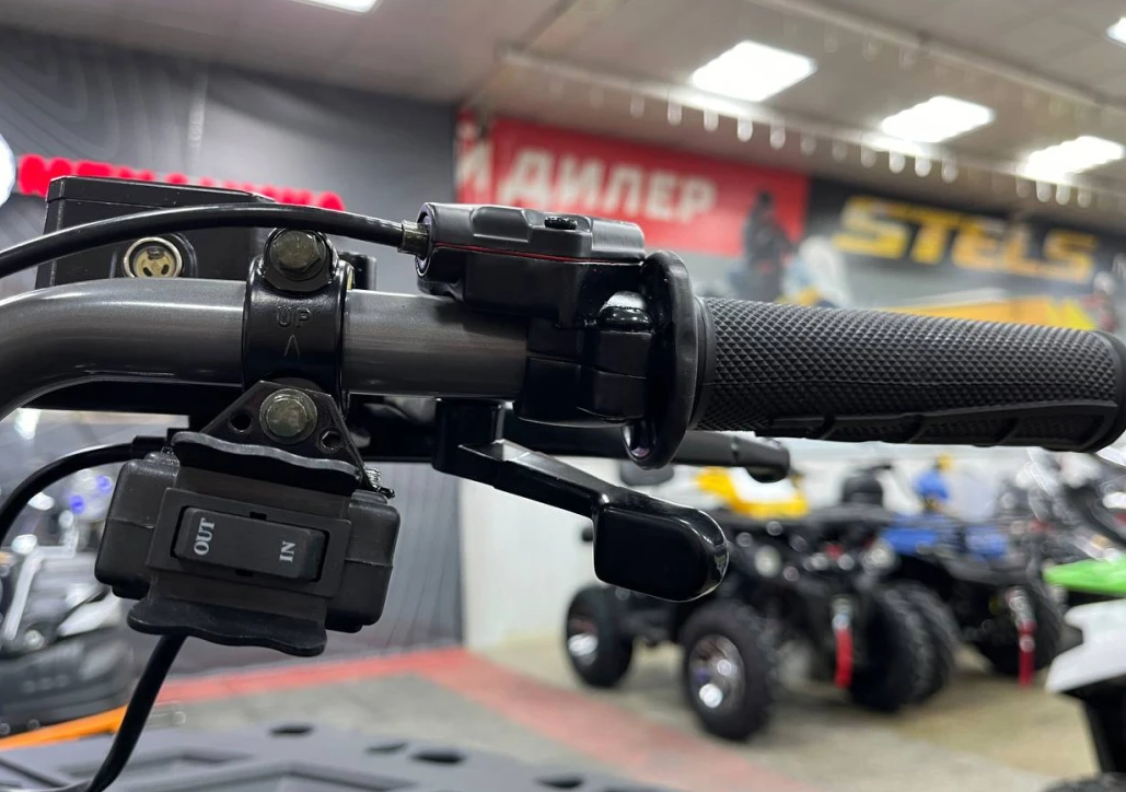 Квадроцикл PROMAX RENEGADE 300 LONG WINCH PRO (2025) в Анапе