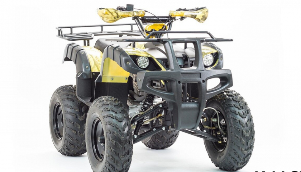 Квадроцикл MOTOLAND (МОТОЛЕНД) 250 ADVENTURE в Анапе