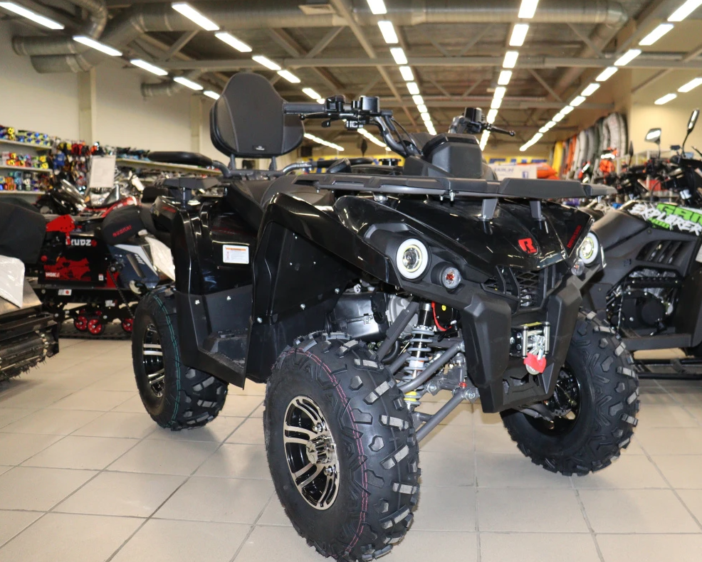 Квадроцикл PROMAX RENEGADE 300 LONG WINCH PRO (2025) в Анапе