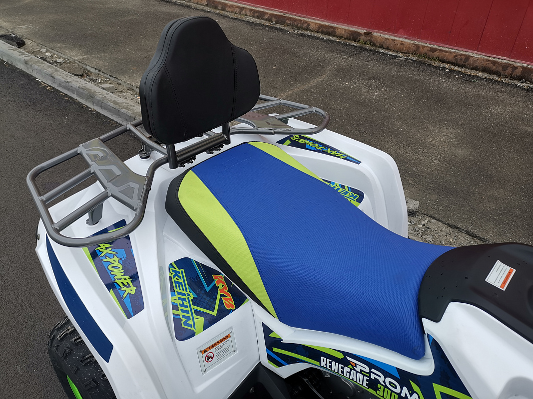 Квадроцикл PROMAX RENEGADE 280 LUX (2025) в Анапе