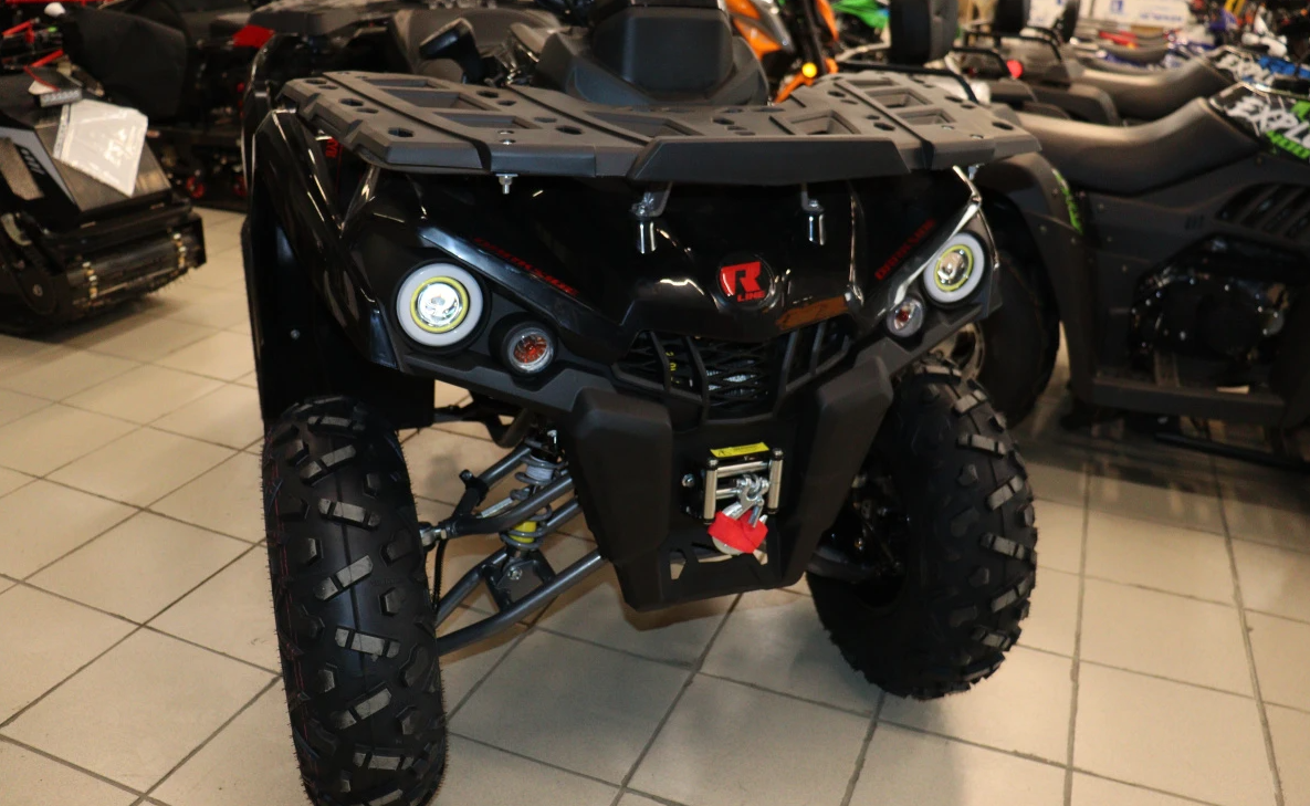 Квадроцикл PROMAX RENEGADE 300 LONG WINCH PRO (2025) в Анапе