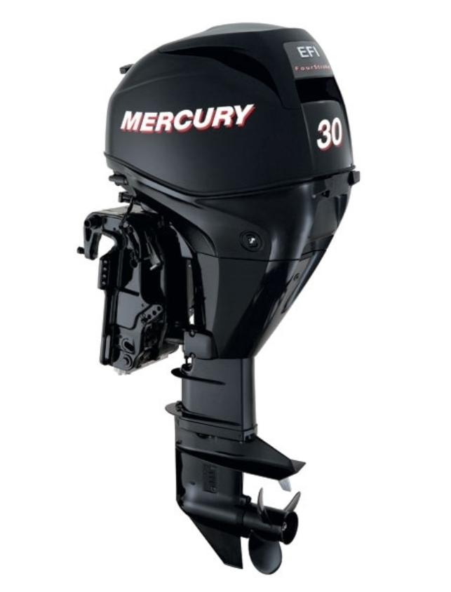 ЛОДОЧНЫЙ МОТОР MERCURY  F 30 ELH GA EFI в Анапе