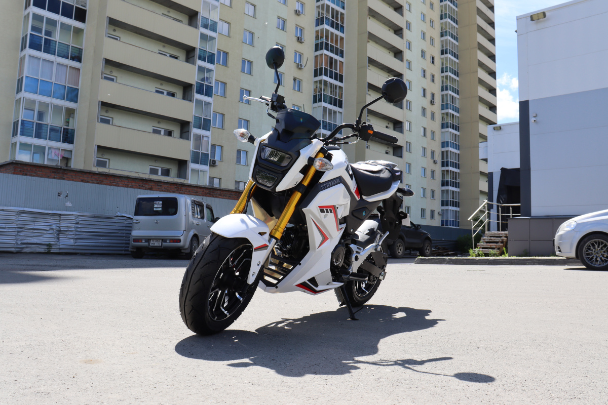 Мотоцикл PROMAX STRYKER 200(49) 2.0 в Анапе