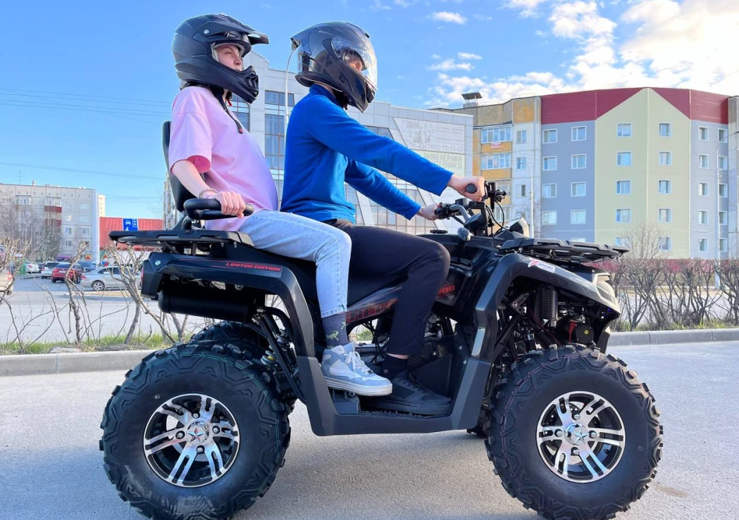 Квадроцикл PROMAX RENEGADE 300 LONG WINCH PRO (2025) в Анапе