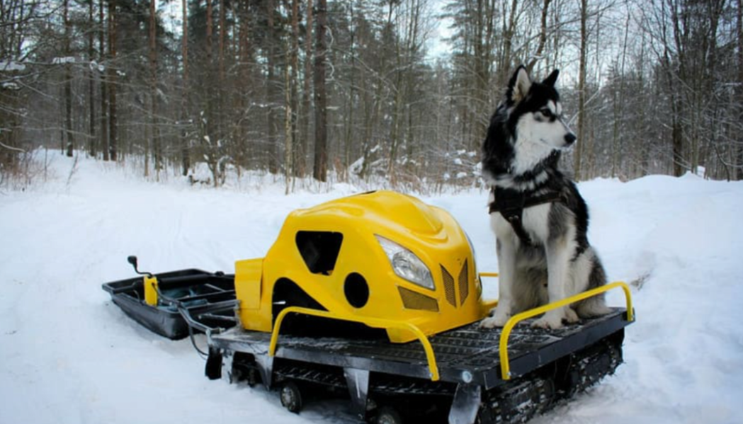 Мотобуксировщик LEBEDEV MOTORS ВОЛКОДАВ POWER V13 в Анапе