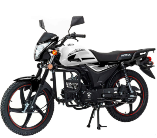Мопед MOTOLAND (МОТОЛЕНД) Альфа RS 11 (LM48-B) в Анапе