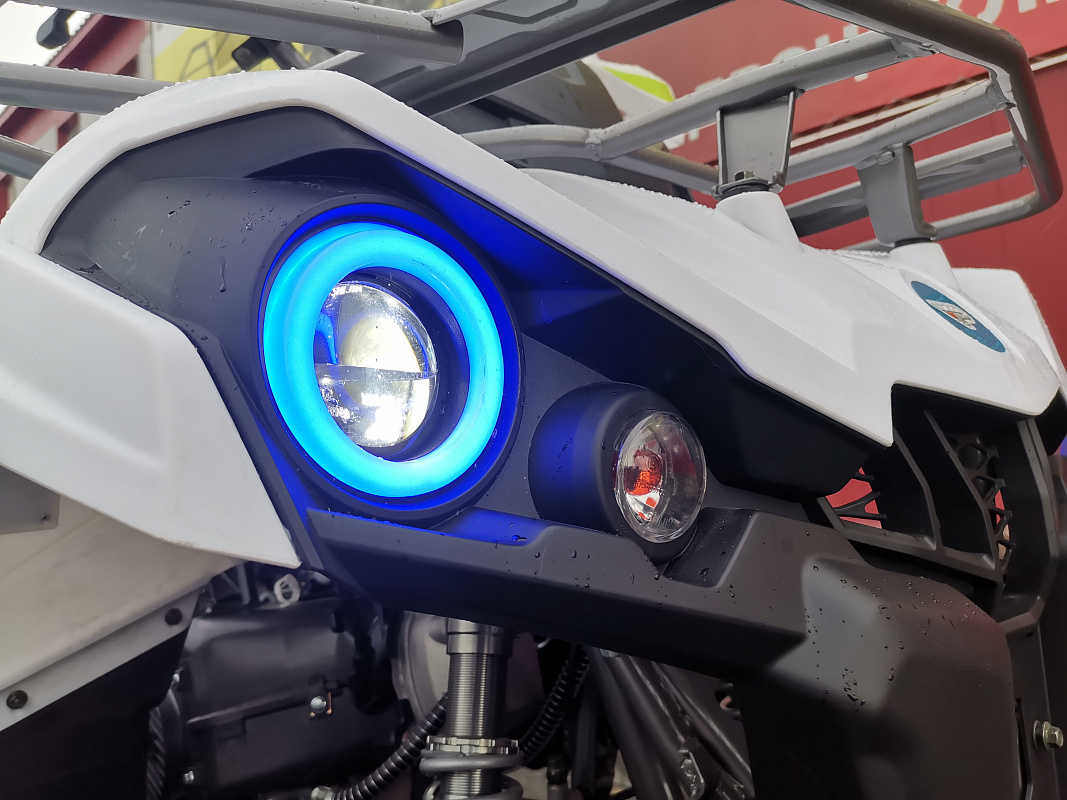 Квадроцикл PROMAX RENEGADE 280 LUX (2025) в Анапе