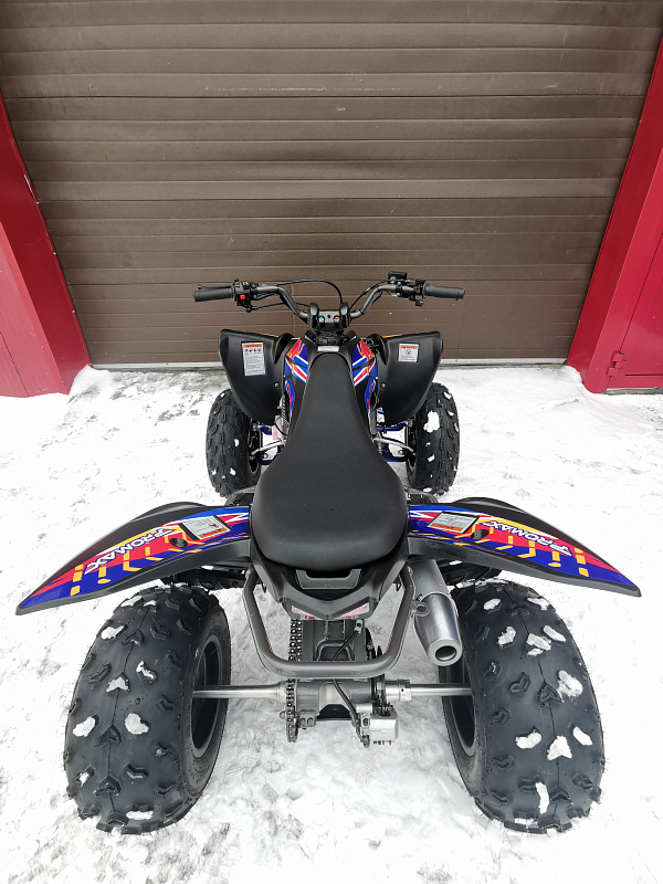 Квадроцикл PROMAX RAPTOR 300 NEW RedBull в Анапе