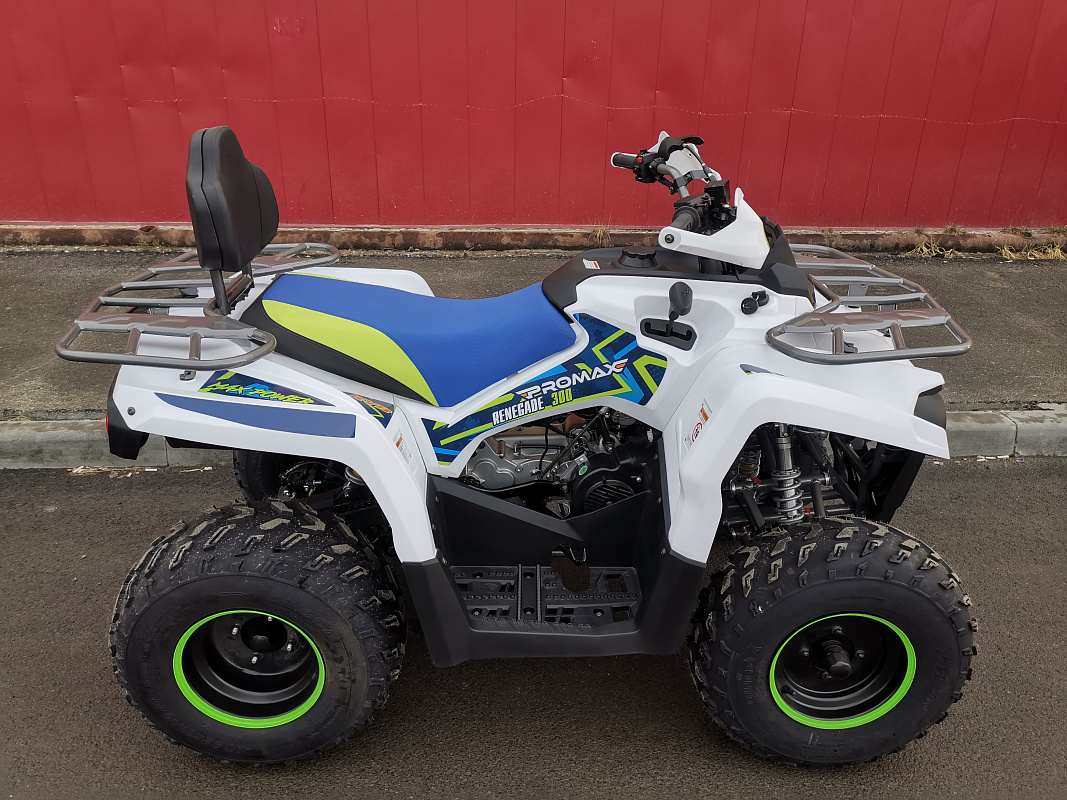 Квадроцикл PROMAX RENEGADE 280 LUX (2025) в Анапе