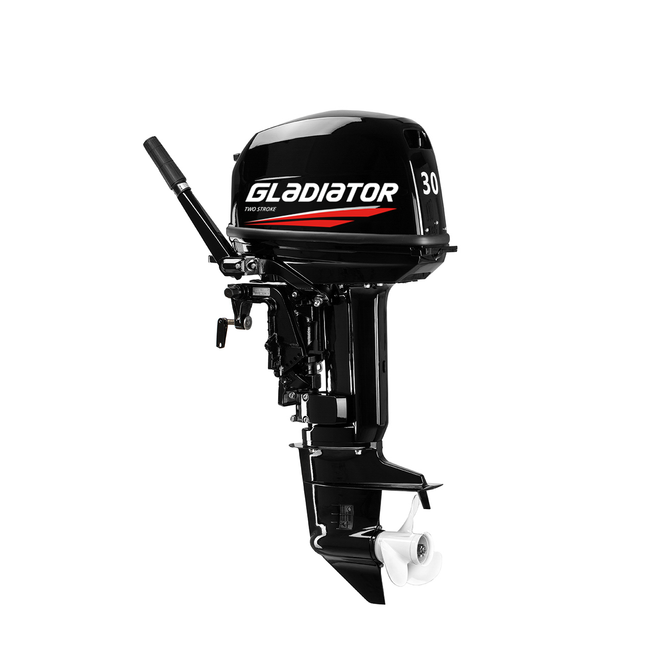 ЛОДОЧНЫЙ МОТОР GLADIATOR G30FHS в Анапе