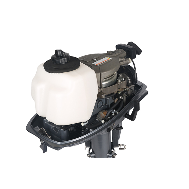 ЛОДОЧНЫЙ МОТОР ALLFA CG T5 в Анапе