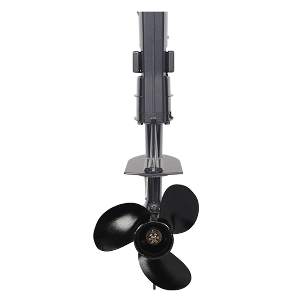 ЛОДОЧНЫЙ МОТОР ALLFA CG T9,8 Limit в Анапе