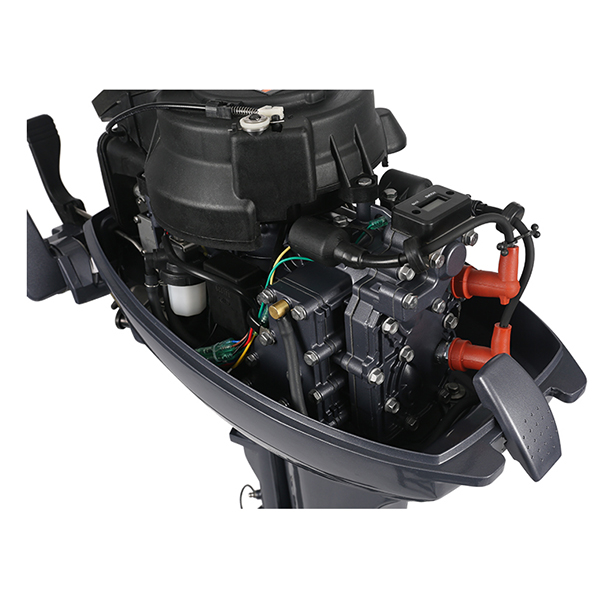 ЛОДОЧНЫЙ МОТОР ALLFA CG Т9,9 Limit в Анапе