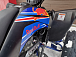 Квадроцикл PROMAX RAPTOR 300 NEW RedBull в Анапе