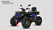 Квадроцикл PROMAX TAURUS 300 MAX-PRO LONG в Анапе