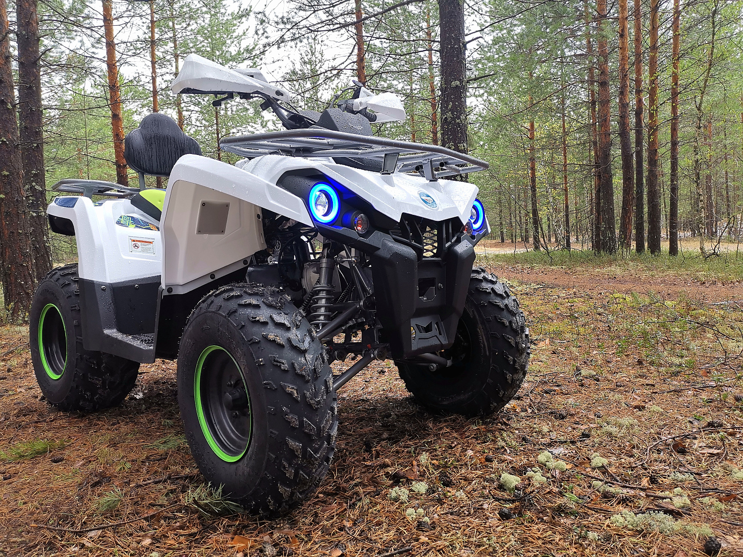 Квадроцикл PROMAX RENEGADE 280 (2025) в Анапе
