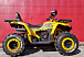 Квадроцикл PROMAX STORM 280 LUX в Анапе