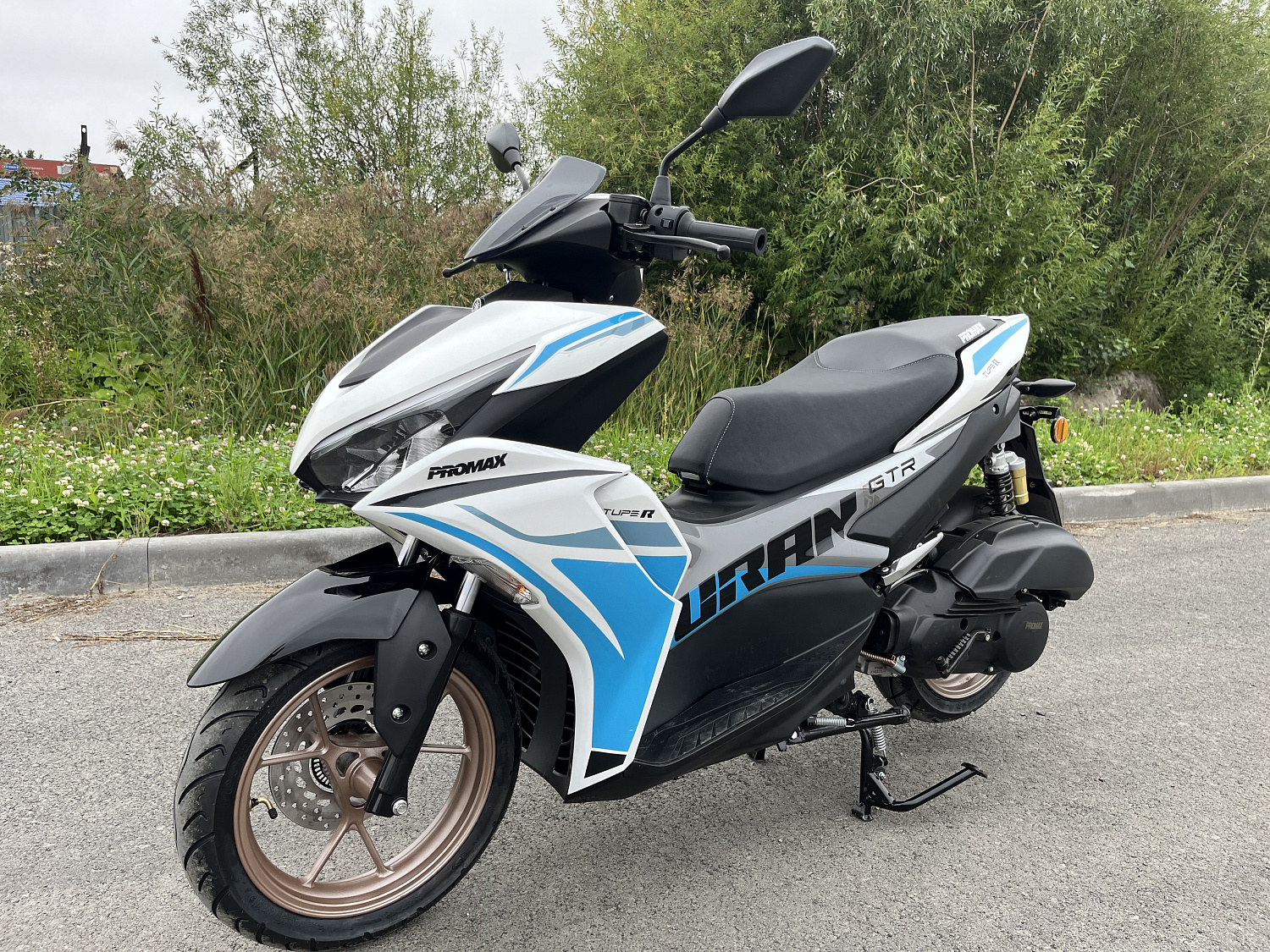 Скутер PROMAX TURAN 250 (49) в Анапе