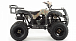 Квадроцикл MOTOLAND (МОТОЛЕНД) 200 ALL ROAD в Анапе