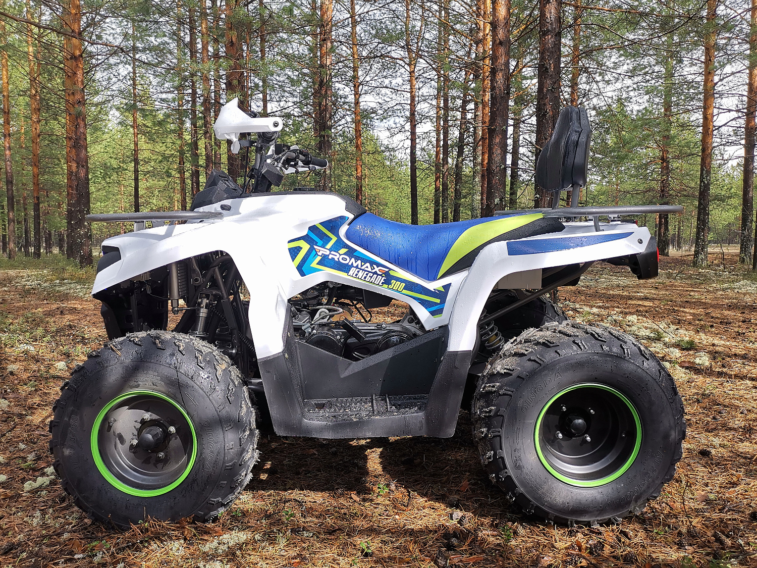 Квадроцикл PROMAX RENEGADE 280 (2025) в Анапе