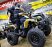 Квадроцикл PROMAX ATV 250 (2025) в Анапе