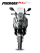 МаксиСкутер PROMAX-HONDA ADV 150 (49) (Inspired by HONDA) в Анапе