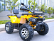 Квадроцикл MOTOLAND (МОТОЛЕНД) VOX200 WILD TRACK X PRO (баланс. вал) в Анапе