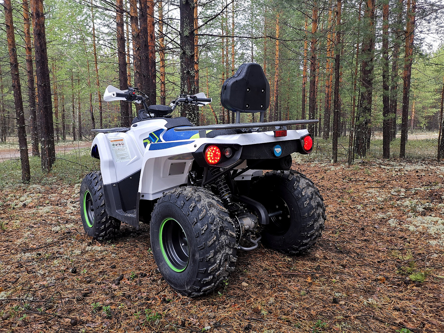 Квадроцикл PROMAX RENEGADE 280 (2025) в Анапе
