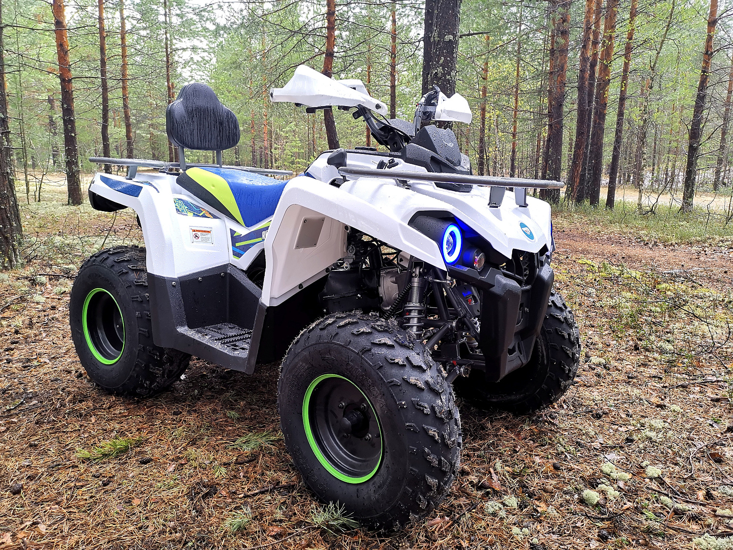 Квадроцикл PROMAX RENEGADE 280 (2025) в Анапе