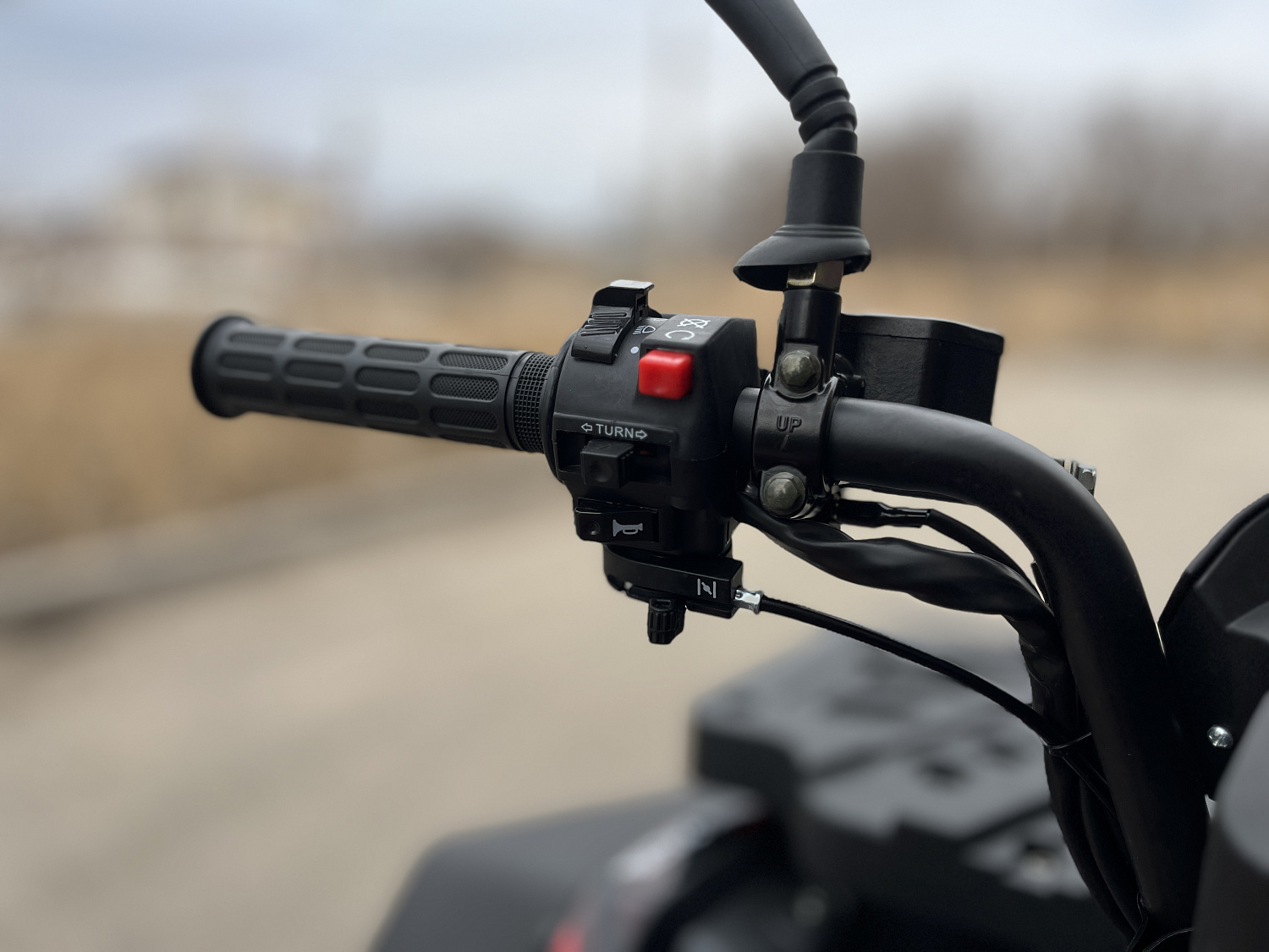 Квадроцикл PROMAX TAURUS 300 MAX-PRO LONG в Анапе