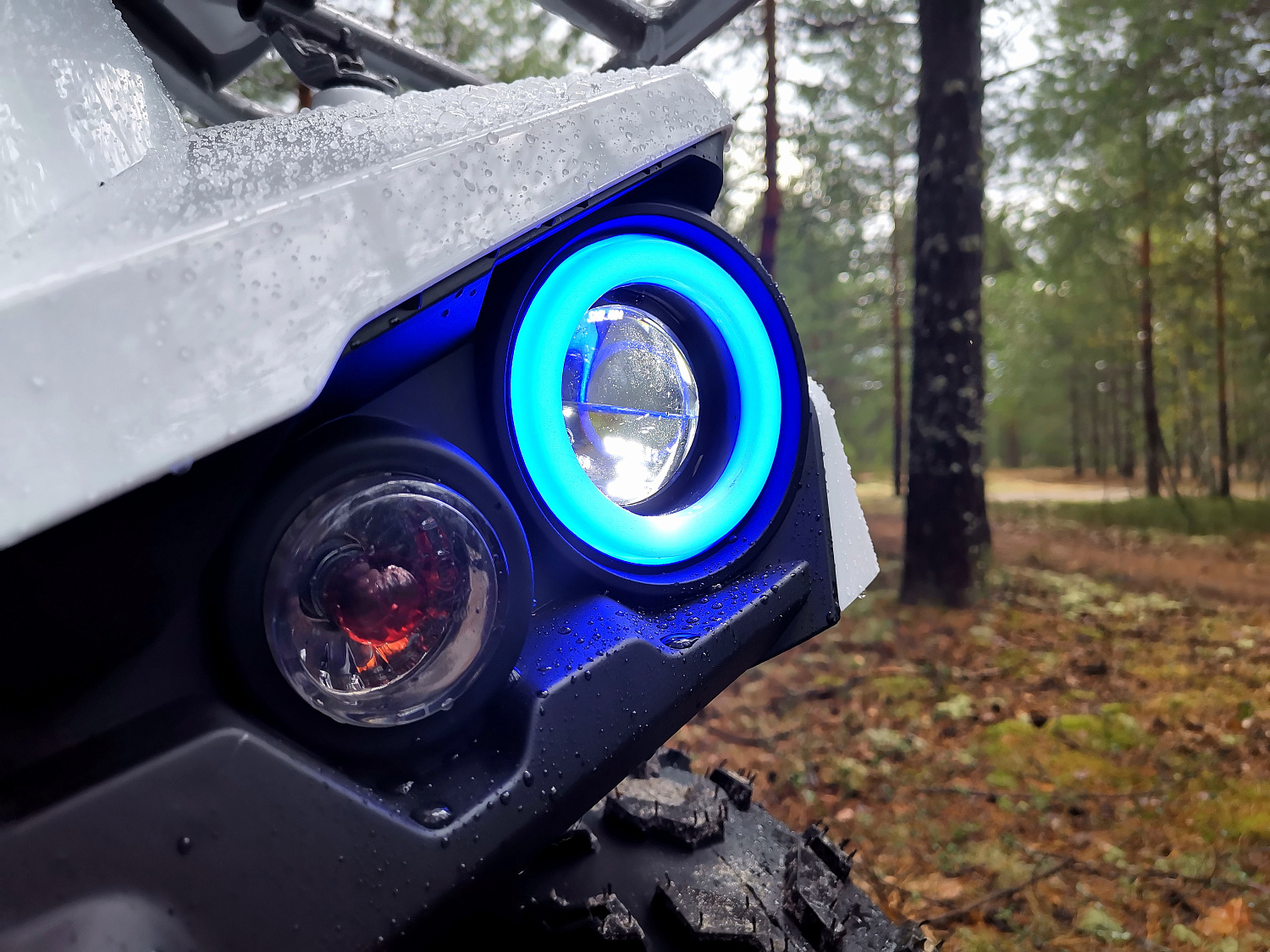 Квадроцикл PROMAX RENEGADE 280 (2025) в Анапе