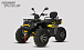 Квадроцикл PROMAX TAURUS 300 MAX-PRO LONG в Анапе